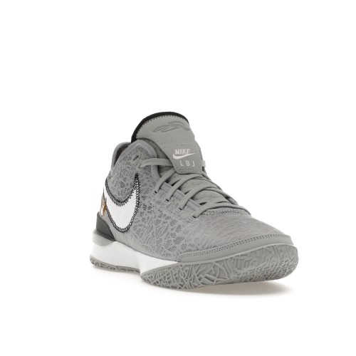 Кроссы Nike Zoom LeBron NXXT Gen Wolf Grey Metallic Gold - мужская сетка размеров