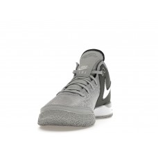 Кроссовки Nike Zoom LeBron NXXT Gen Wolf Grey Metallic Gold