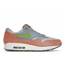 Кроссовки Nike Air Max 1 Light Madder Root Worn Blue