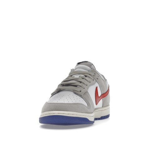Кроссы Nike Dunk Low Light Iron Ore Red Blue - мужская сетка размеров