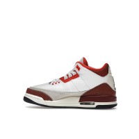 Подростковые Jordan 3 Retro SE Dunk on Mars (GS)