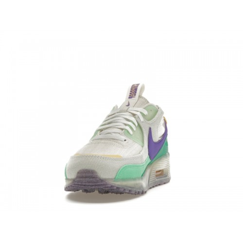 Кроссы Nike Air Max Terrascape 90 Phantom Action Grape - мужская сетка размеров