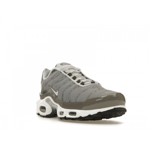 Кроссы Nike Air Max Plus Flat Pewter - мужская сетка размеров