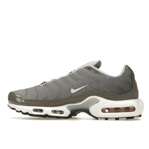 Кроссы Nike Air Max Plus Flat Pewter - мужская сетка размеров