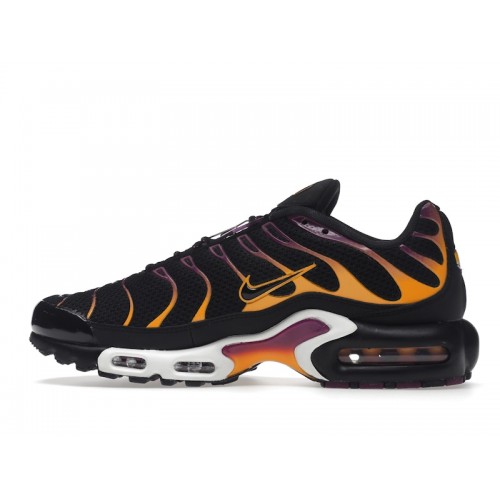 Кроссы Nike Air Max Plus University Gold Viotech Purple - мужская сетка размеров