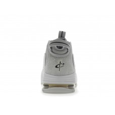 Кроссовки Nike Air Max Penny 1 PRM Photon Dust Summit White