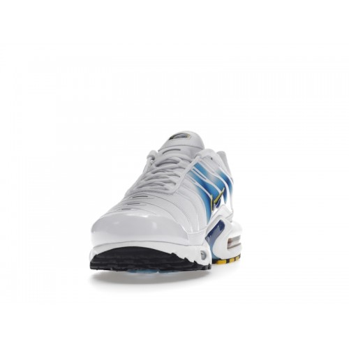 Кроссы Nike Air Max Plus Spray Paint Swoosh White Blue - мужская сетка размеров