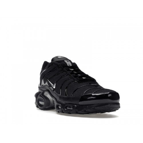 Кроссы Nike Air Max Plus Mini Swoosh Black Silver - мужская сетка размеров