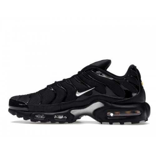 Кроссы Nike Air Max Plus Mini Swoosh Black Silver - мужская сетка размеров