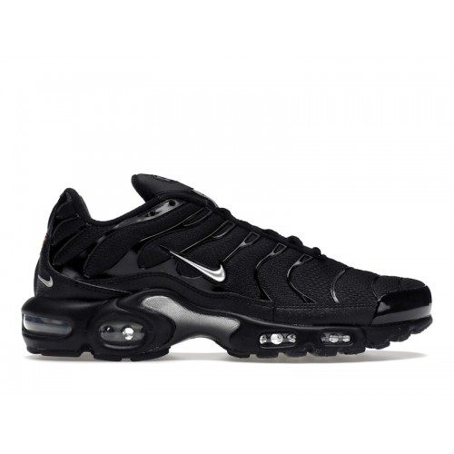 Кроссы Nike Air Max Plus Mini Swoosh Black Silver - мужская сетка размеров