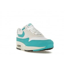 Женские Nike Air Max 1 Dusty Cactus (W)