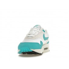 Женские Nike Air Max 1 Dusty Cactus (W)