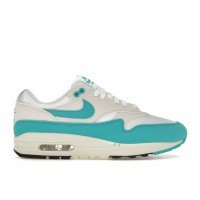 Женские Nike Air Max 1 Dusty Cactus (W)