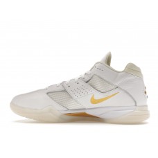 Кроссовки Nike KD 3 Retro White Metallic Gold