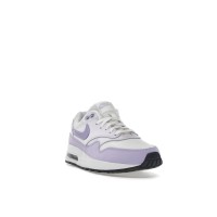 Подростковые Nike Air Max 1 Platinum Tint Barely Grape Black Hydrangeas (GS)