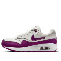 Подростковые Nike Air Max 1 Summit White White Viotech (GS)