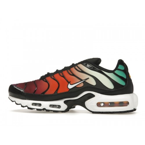 Nike Wmns Air Max Plus Rainbow - женская сетка размеров