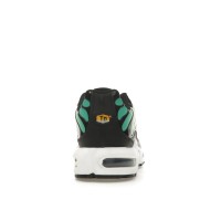 Женские Nike Air Max Plus Rainbow (W)