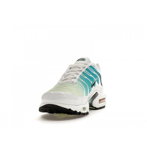 Кроссы Nike Air Max Plus Dusty Cactus Barely Volt (W) - женская сетка размеров