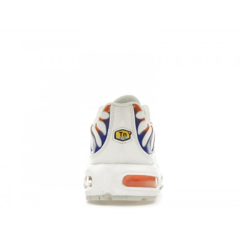 Кроссы Nike Air Max Plus Knicks (W) - женская сетка размеров