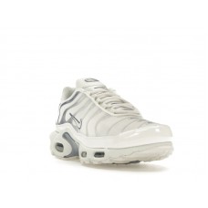 Женские Nike Air Max Plus Ashen Slate (W)