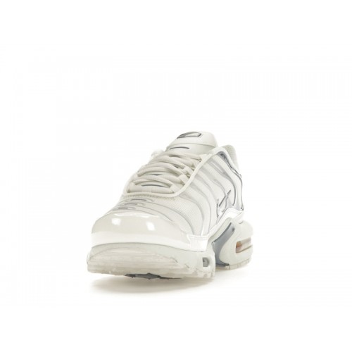 Кроссы Nike Air Max Plus Ashen Slate (W) - женская сетка размеров