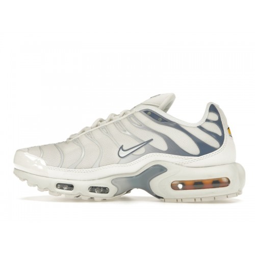 Кроссы Nike Air Max Plus Ashen Slate (W) - женская сетка размеров