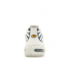 Женские Nike Air Max Plus Ashen Slate (W)
