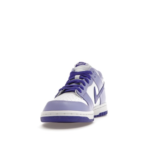 Кроссы Nike Dunk Low Blueberry (GS) - подростковая сетка размеров