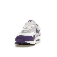 Кроссовки Nike Air Max 1 SC Field Purple