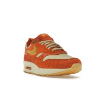 Женские кроссовки Nike Air Max 1 PRM Somos Familia (W)