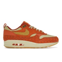 Женские кроссовки Nike Air Max 1 PRM Somos Familia (W)