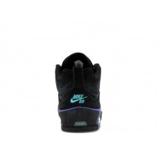 Nike SB Air Max Ishod Wair Black Grape