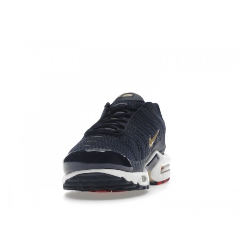 Кроссы Nike Air Max Plus FFF - мужская сетка размеров