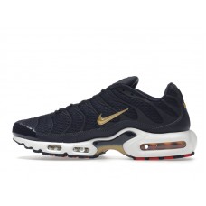 Nike Air Max Plus FFF