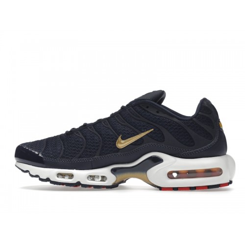 Кроссы Nike Air Max Plus FFF - мужская сетка размеров
