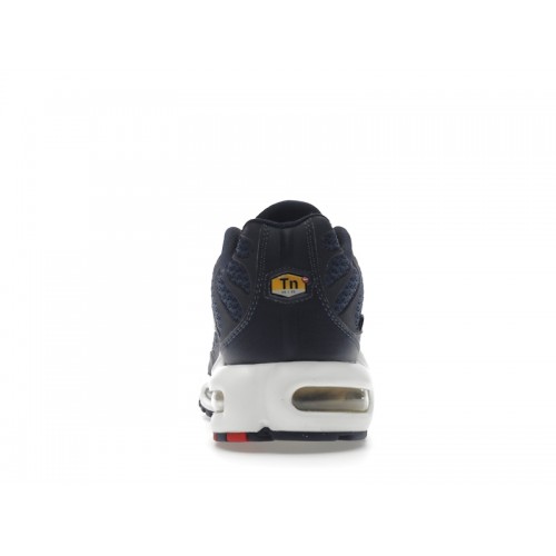 Кроссы Nike Air Max Plus FFF - мужская сетка размеров