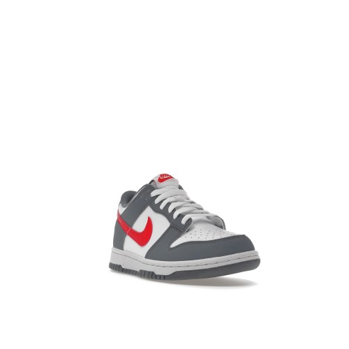 Кроссы Nike Dunk Low Next Nature Smoke Grey Light Crimson (GS) - подростковая сетка размеров