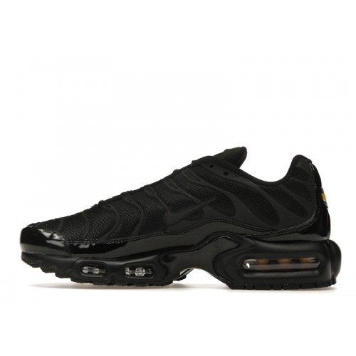 Кроссы Nike Air Max Plus Black Reflective (2022) (W) - женская сетка размеров