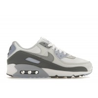 Женские Nike Air Max 90 White Wolf Gray Photon Dust (W)