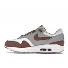 Кроссовки Nike Air Max 1 Premium Shima Shima (2023)