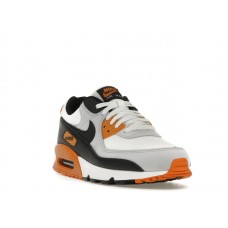 Nike Air Max 90 Monarch