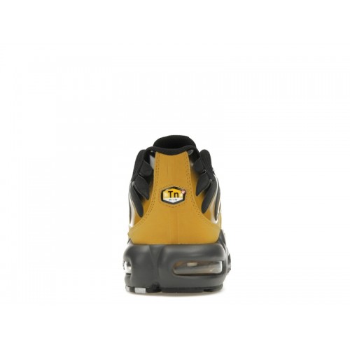 Nike Air Max Plus Bronzine - мужская сетка размеров