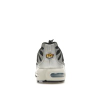 Женские Nike Air Max Plus Toggle Black Silver (W)