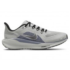 Кроссовки Nike Air Zoom Pegasus 41 Photon Dust Metallic Silver