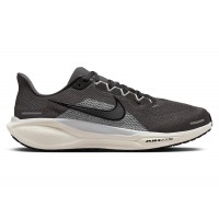 Кроссовки Nike Air Zoom Pegasus 41 Medium Ash Pure Platinum