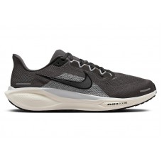 Кроссовки Nike Air Zoom Pegasus 41 Medium Ash Pure Platinum