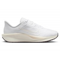 Женские Nike Quest 6 White Sail Chalk (W)