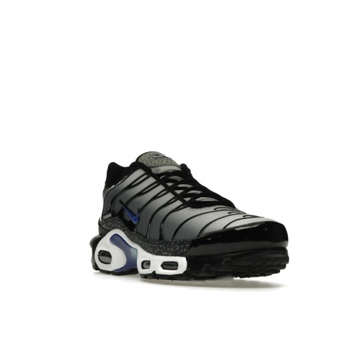 Кроссы Nike Air Max Plus Kiss My Airs Metallic Silver - мужская сетка размеров