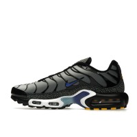 Nike Air Max Plus Kiss My Airs Metallic Silver